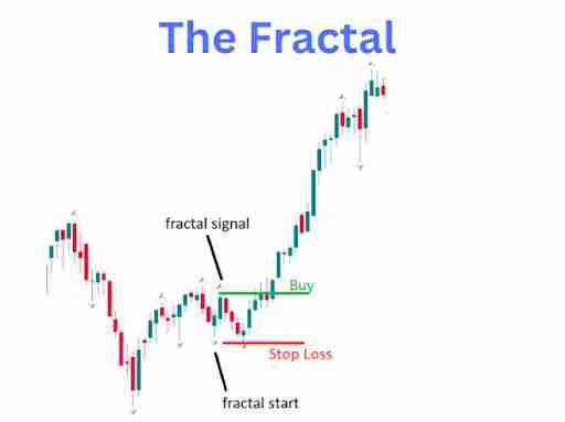 比尔·威廉姆斯是谁，为什么他的指标很重要？比尔·威廉姆斯的关键交易指标有哪些？